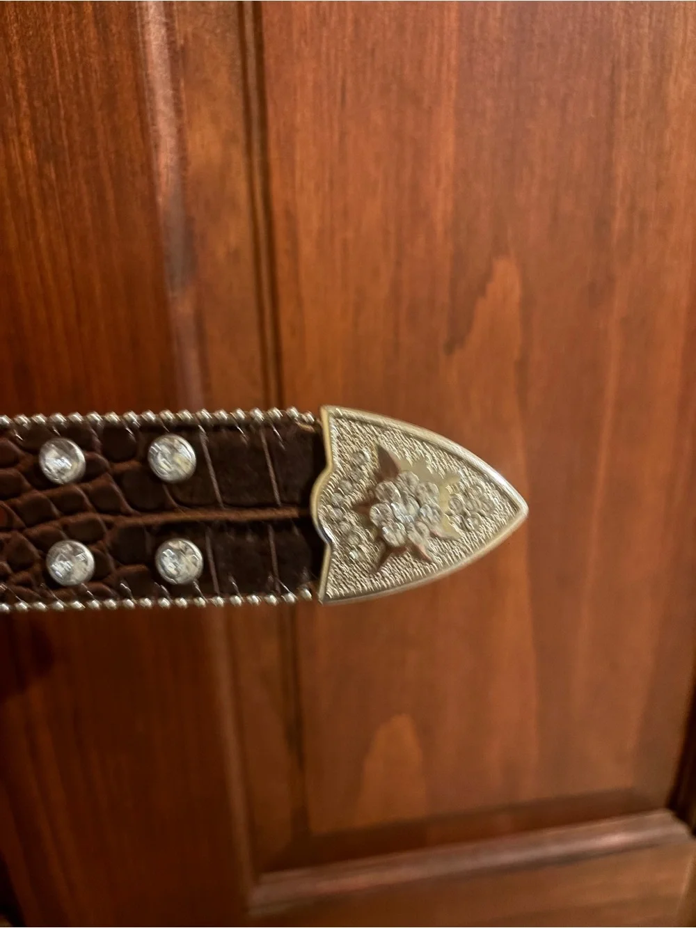 Decorative Western Leather Wall Belt with Silver Conchos - Black